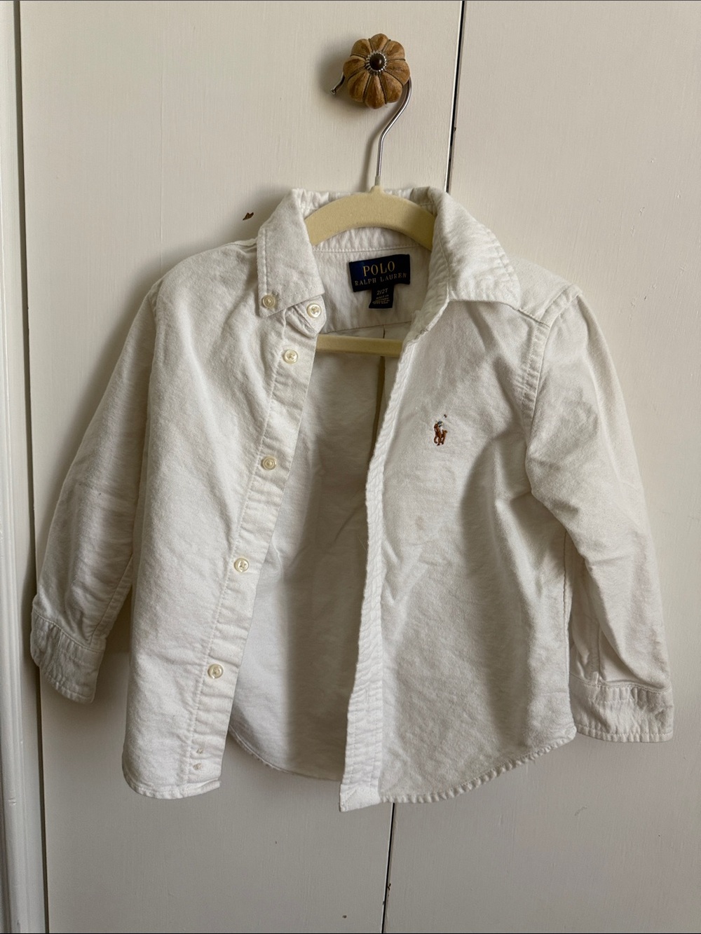 Polo by Ralph Lauren Kids White Button-Down Oxford Shirt with Pony